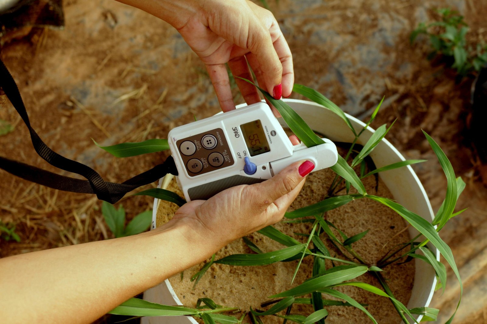 IoT-based Soil Salinity Monitoring using sensors in Watermelon cultivation (Smart Agriculture Research, 2024).